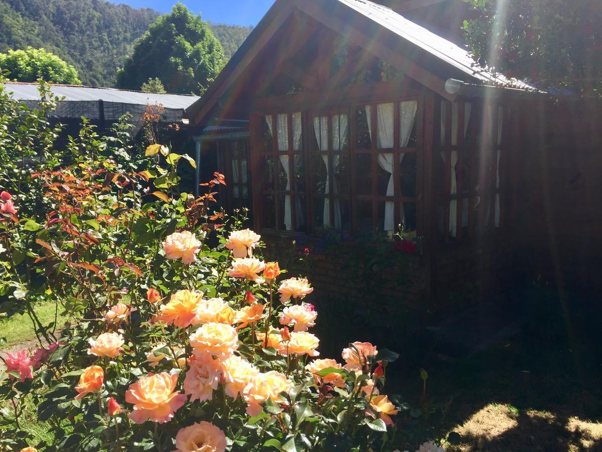 Tu Cabana San Martín de los Andes 외부 사진